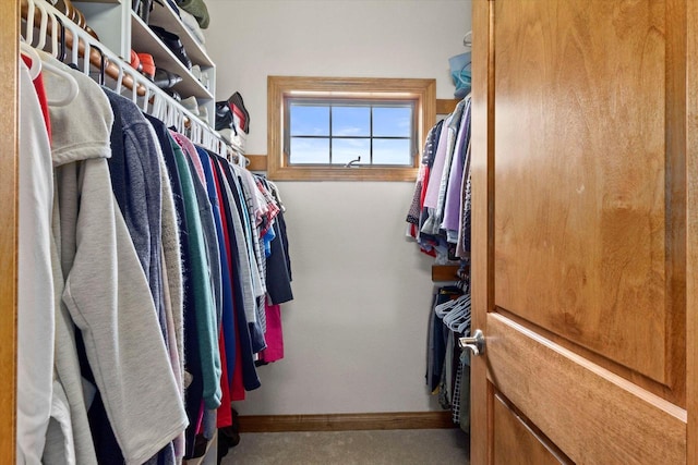 view of spacious closet