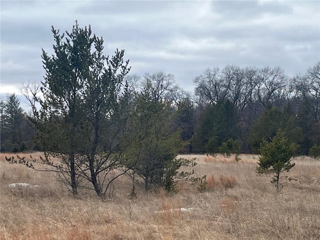 Listing photo 3 for XXX E River Rd, Grantsburg WI 54840