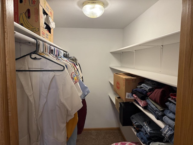 1080 Jaystone Ter, Waterloo, WI 53594 - spacious closet with carpet flooring