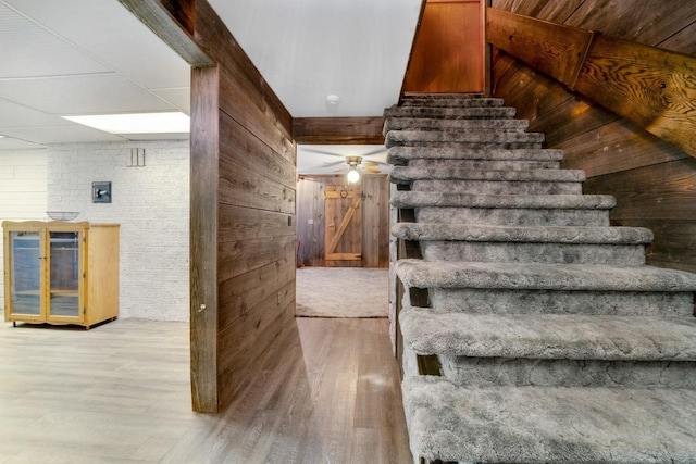 stairs featuring wood walls, a barn door, and wood finished floors