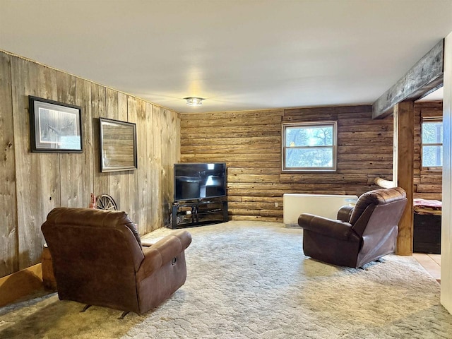 living room with a healthy amount of sunlight and carpet flooring