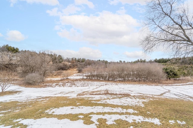 view of snowy yard