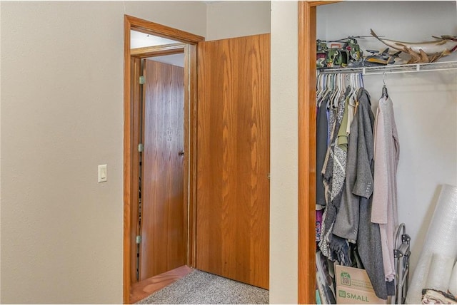 view of closet