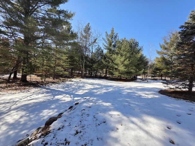 view of yard covered in snow