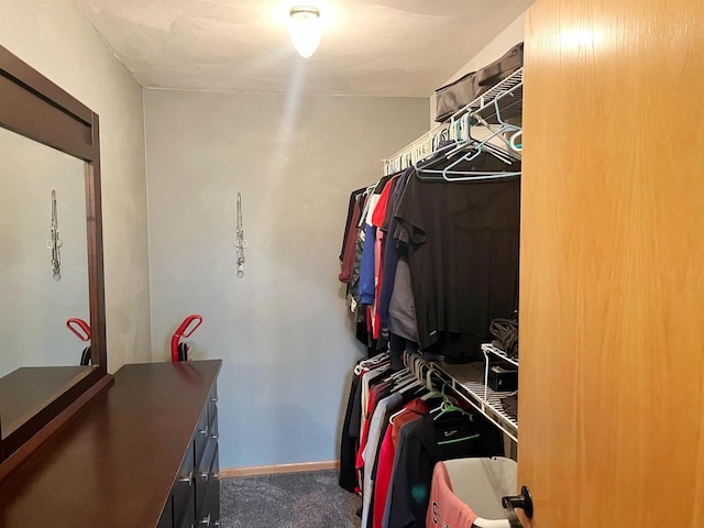 spacious closet featuring carpet floors