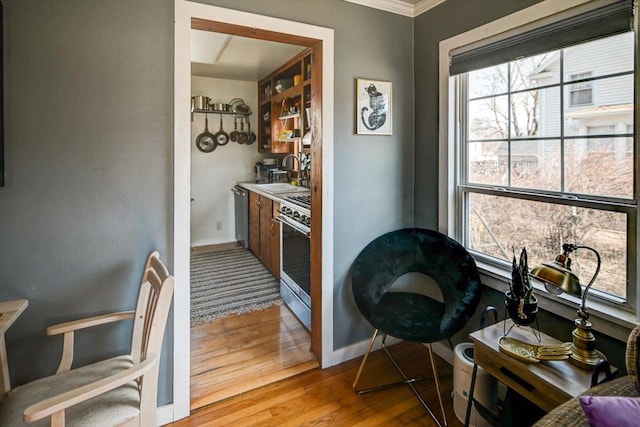 kitchen with light wood-style flooring, baseboards, appliances with stainless steel finishes, and a sink