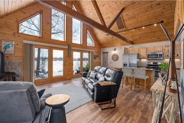 34239 Mcgraw Lake Rd, Danbury, WI 54830 - living area with wooden ceiling, rail lighting, light wood finished floors, and a wood stove