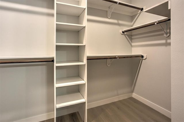 spacious closet featuring dark wood-type flooring