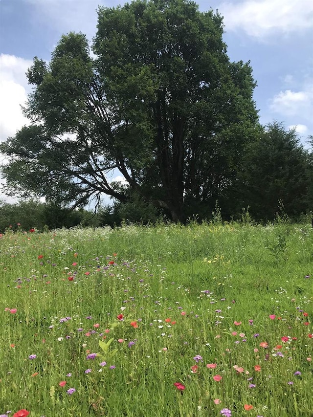 view of nature