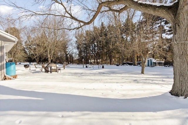 view of yard layered in snow