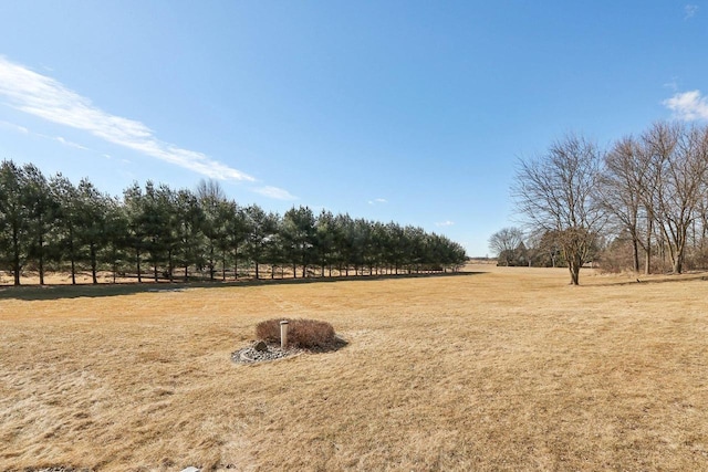 view of yard featuring a rural view