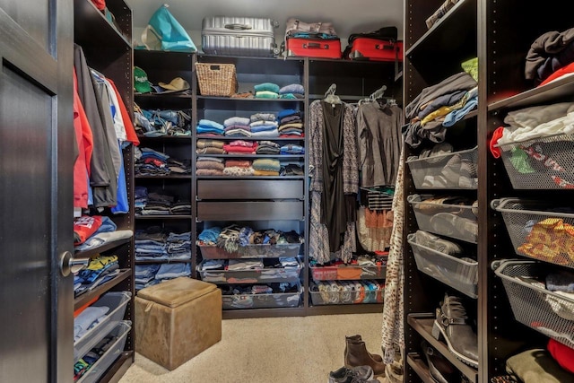 walk in closet featuring carpet