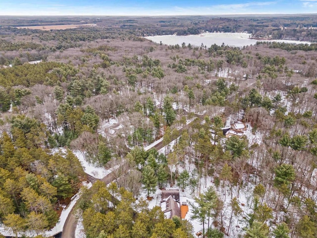 drone / aerial view with a water view and a view of trees