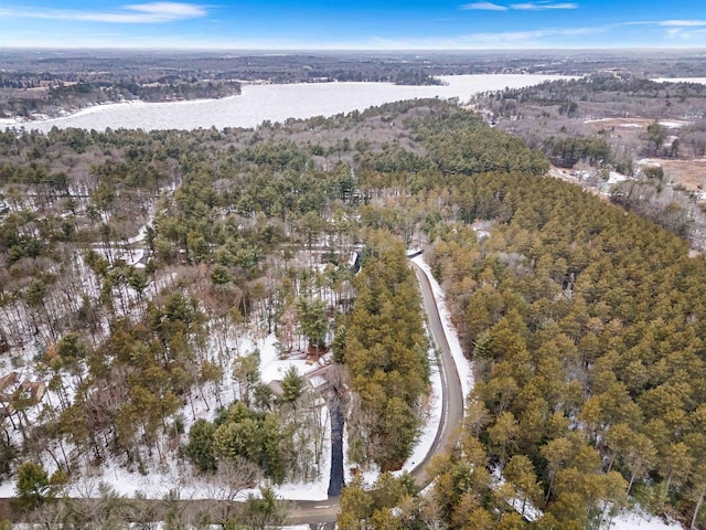 birds eye view of property with a water view and a view of trees