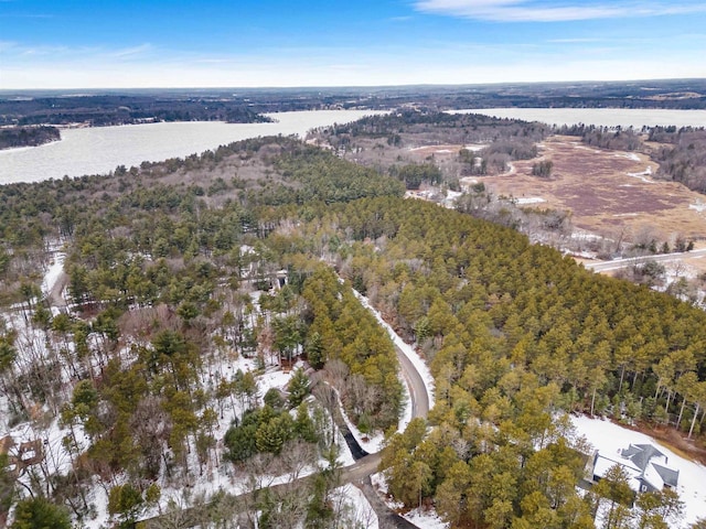 birds eye view of property with a water view and a view of trees