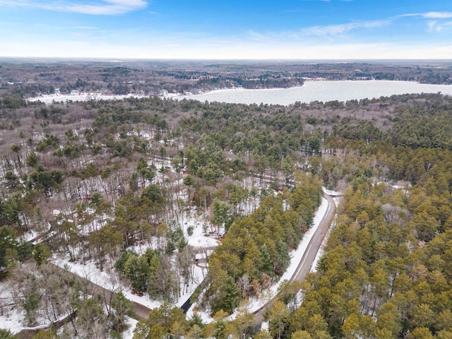 aerial view featuring a water view and a view of trees