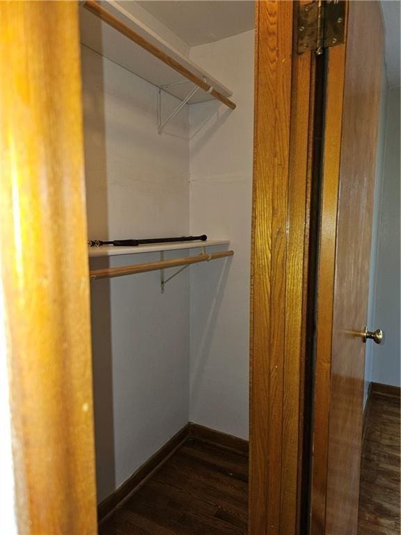 walk in closet with dark wood finished floors