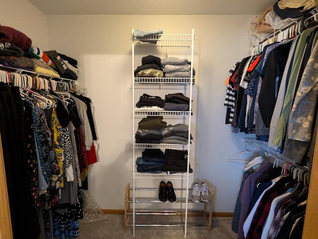 spacious closet featuring carpet flooring