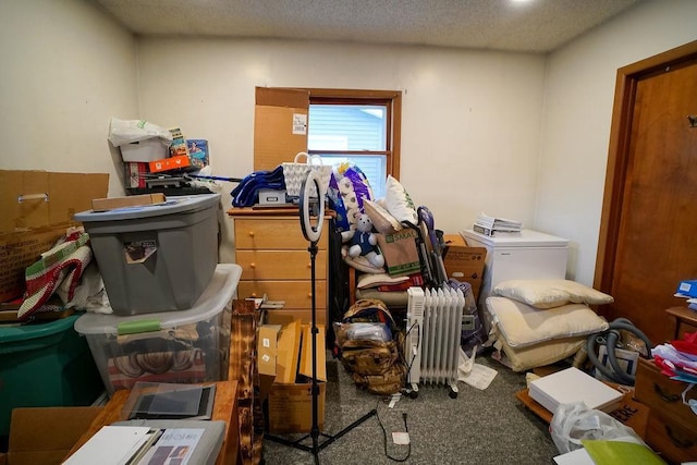 miscellaneous room with carpet flooring and a textured ceiling