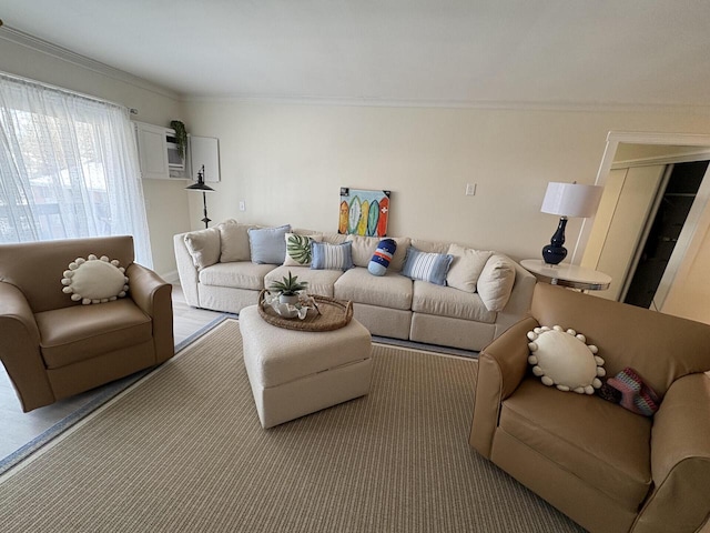 living area featuring ornamental molding