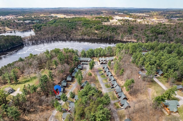 bird's eye view featuring a forest view and a water view