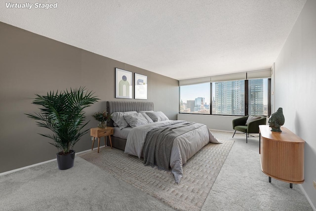 bedroom featuring a textured ceiling, a city view, carpet flooring, and baseboards