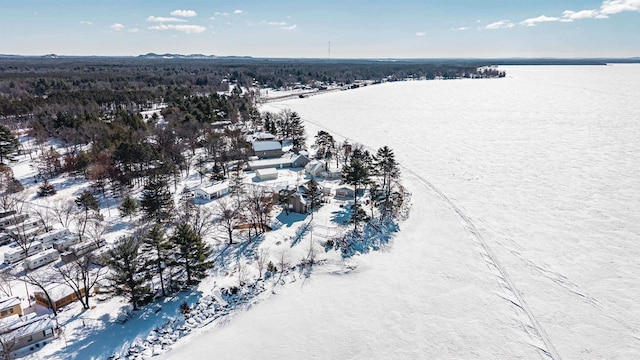 snowy aerial view with a water view