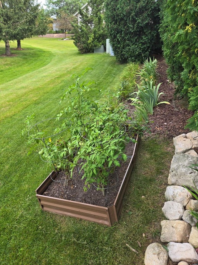 view of yard with a vegetable garden