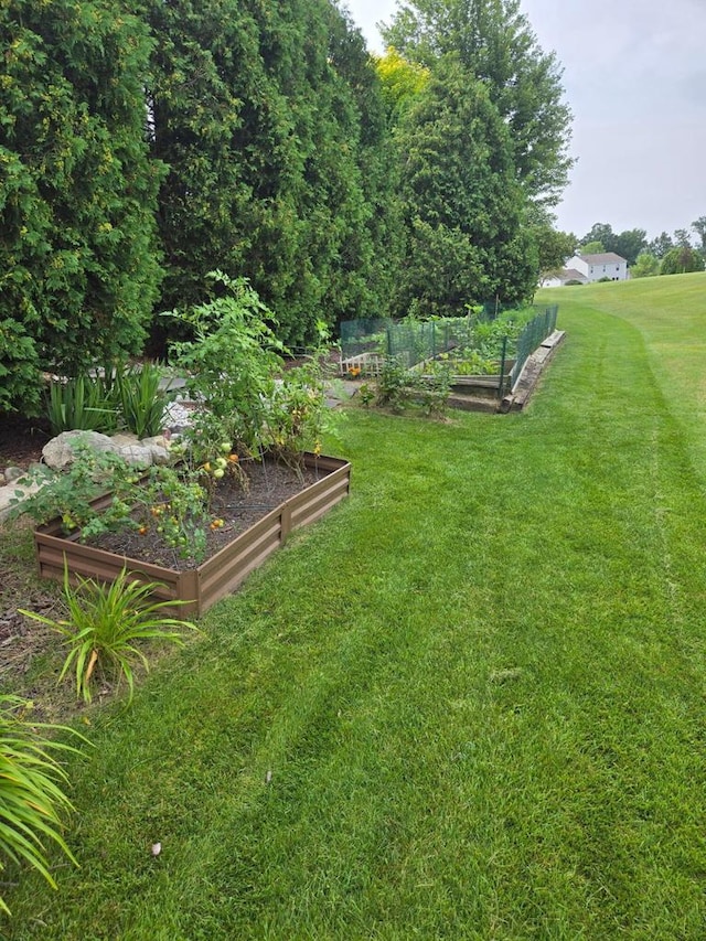 view of yard featuring a garden