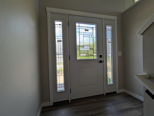 E11617 Pen-Marc Ct, Baraboo, WI 53913 - entrance foyer with dark wood finished floors, a wealth of natural light, and baseboards