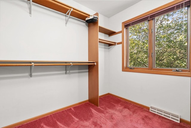 spacious closet with carpet floors and visible vents