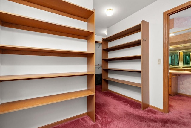 spacious closet with dark colored carpet