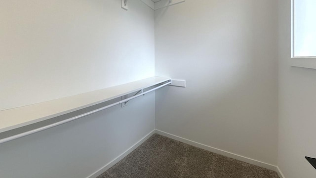 walk in closet with dark carpet