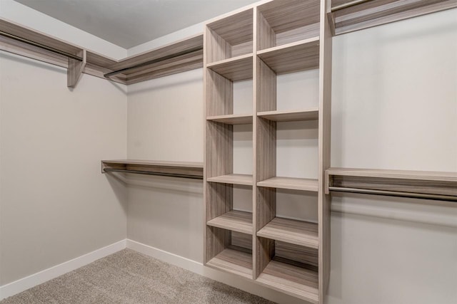 walk in closet featuring carpet