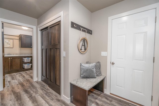 mudroom with a sink and wood finished floors