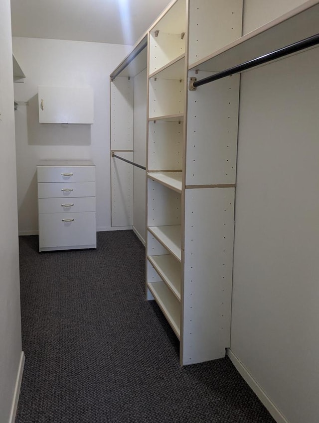 spacious closet featuring dark colored carpet