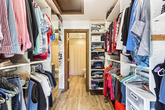 walk in closet with wood finished floors