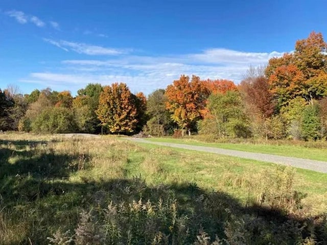 6800 County Rd N, Arpin WI, 54410 land for sale