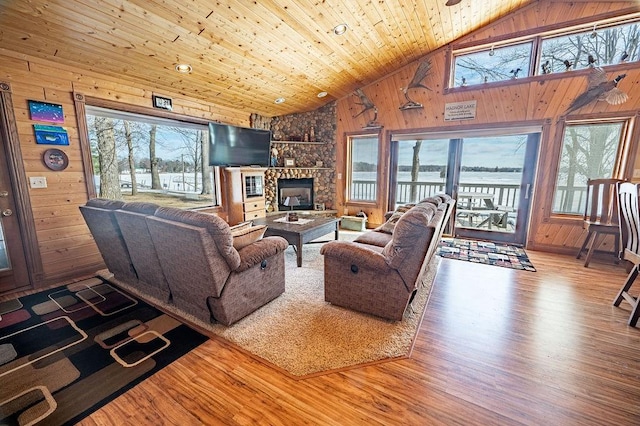 living room with plenty of natural light and wooden walls