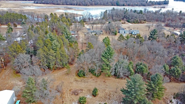 drone / aerial view featuring a forest view