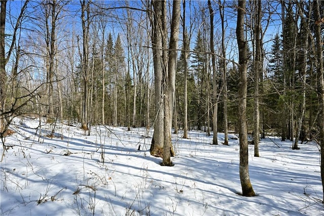 Listing photo 2 for 33ACRES Wisco Rd, Grand View WI 54839