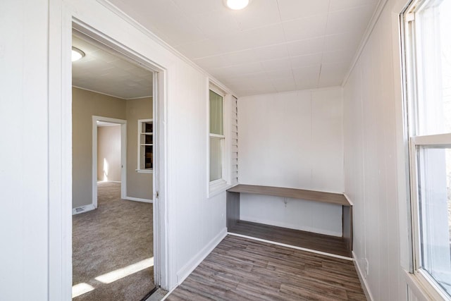 unfurnished office featuring ornamental molding, a wealth of natural light, and wood finished floors