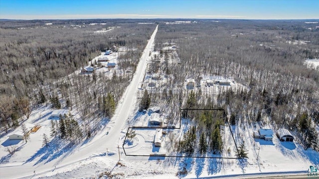 view of snowy aerial view