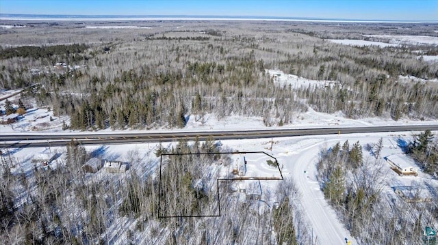 view of snowy aerial view