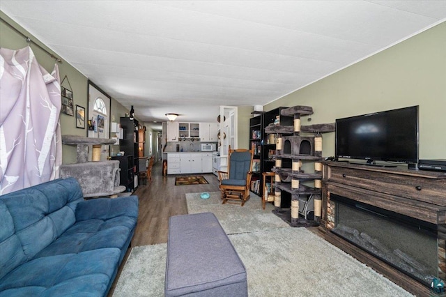 living area featuring wood finished floors