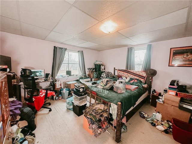 bedroom featuring carpet and a drop ceiling