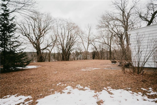 view of yard covered in snow