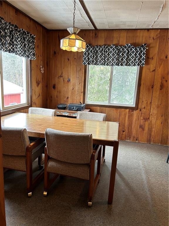 carpeted dining room with wood walls and a healthy amount of sunlight