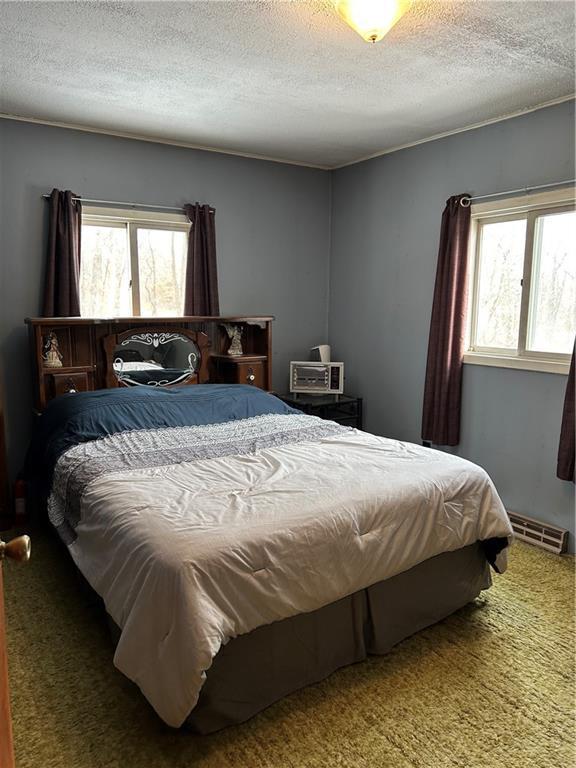 carpeted bedroom featuring multiple windows, a baseboard heating unit, and a textured ceiling