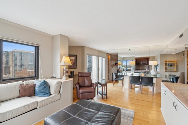 living area with light wood finished floors, plenty of natural light, and visible vents